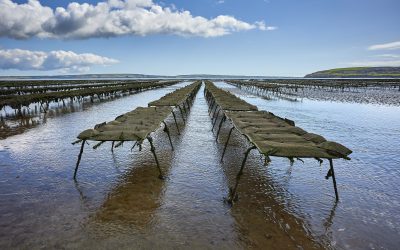 Les poches & paniers australiens